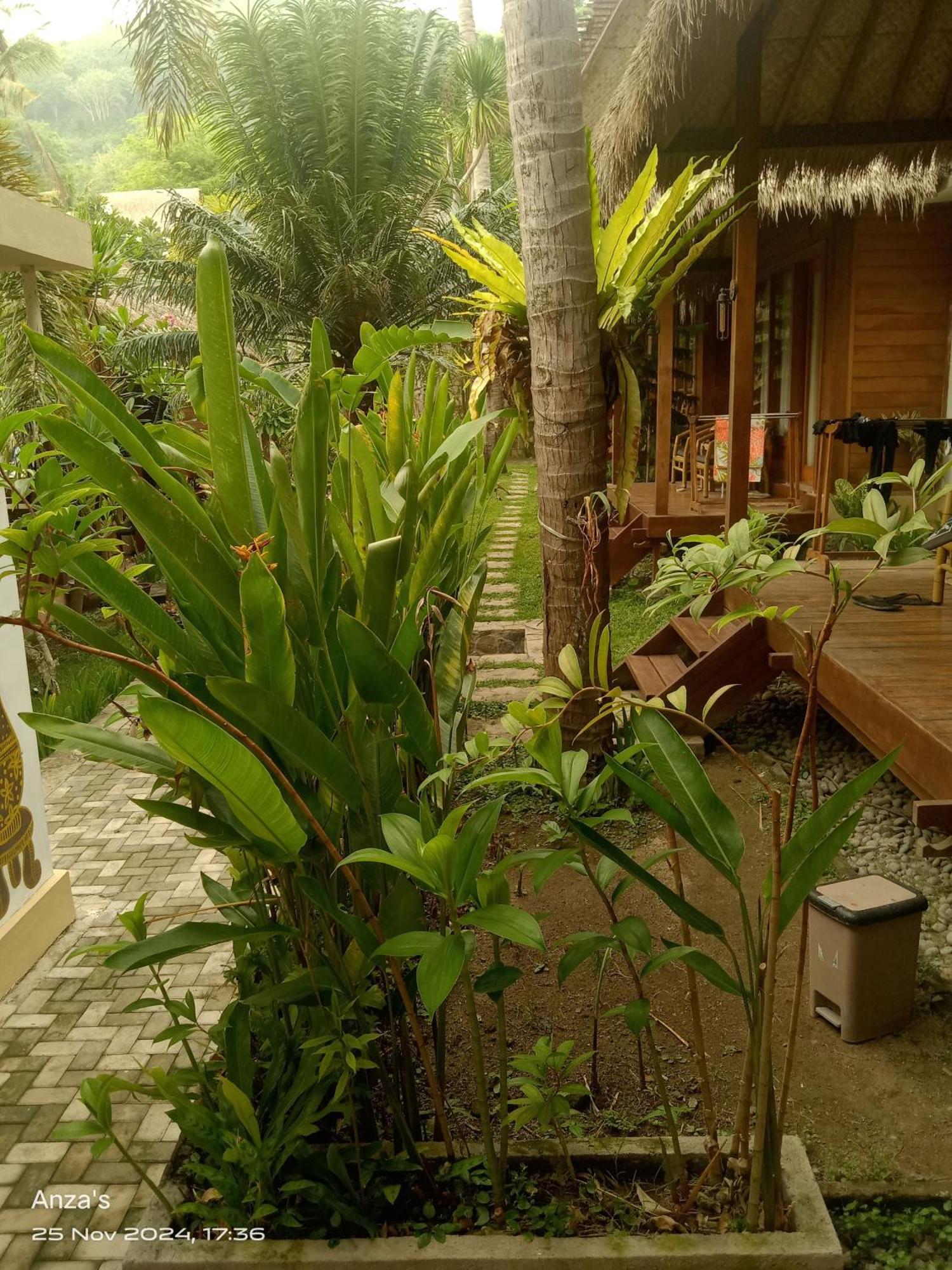 Village Vibes Lombok Kuta  Luaran gambar